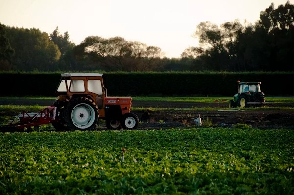 Food, Agriculture and Hospitality