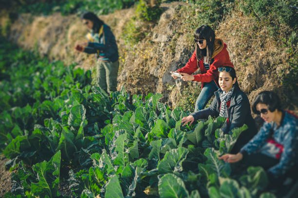 Food, Agriculture and Hospitality